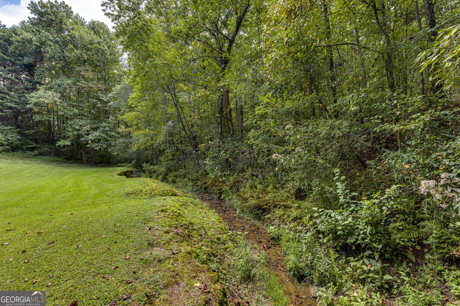 6310 Green Mountain Lane Clermont - 56