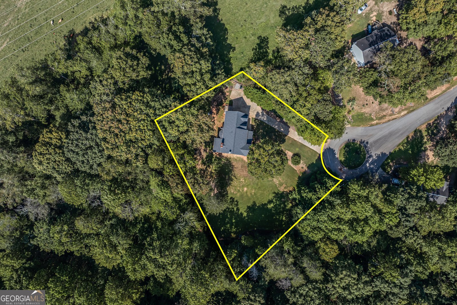 6310 Green Mountain Lane Clermont - 60