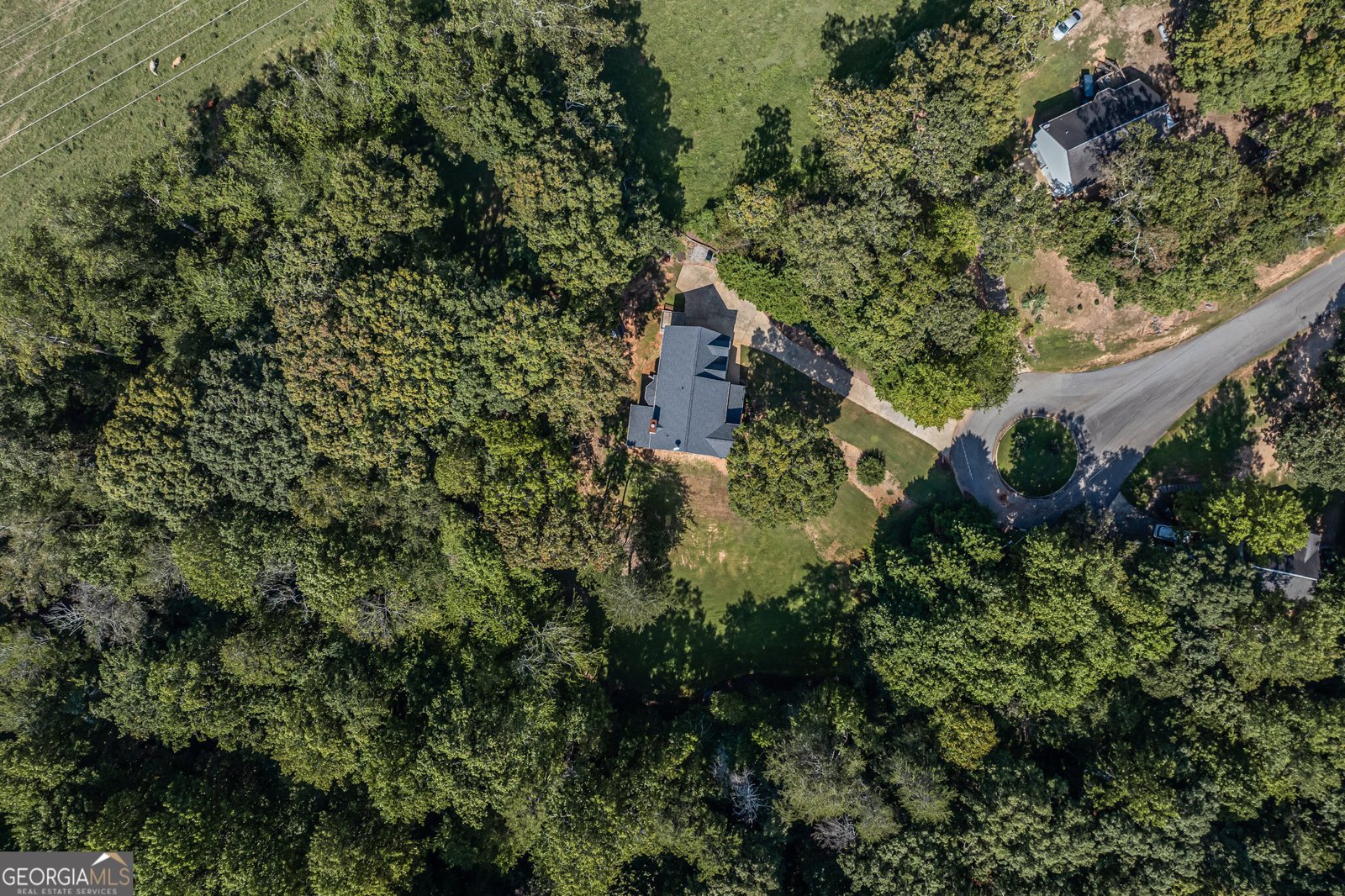 6310 Green Mountain Lane Clermont - 61