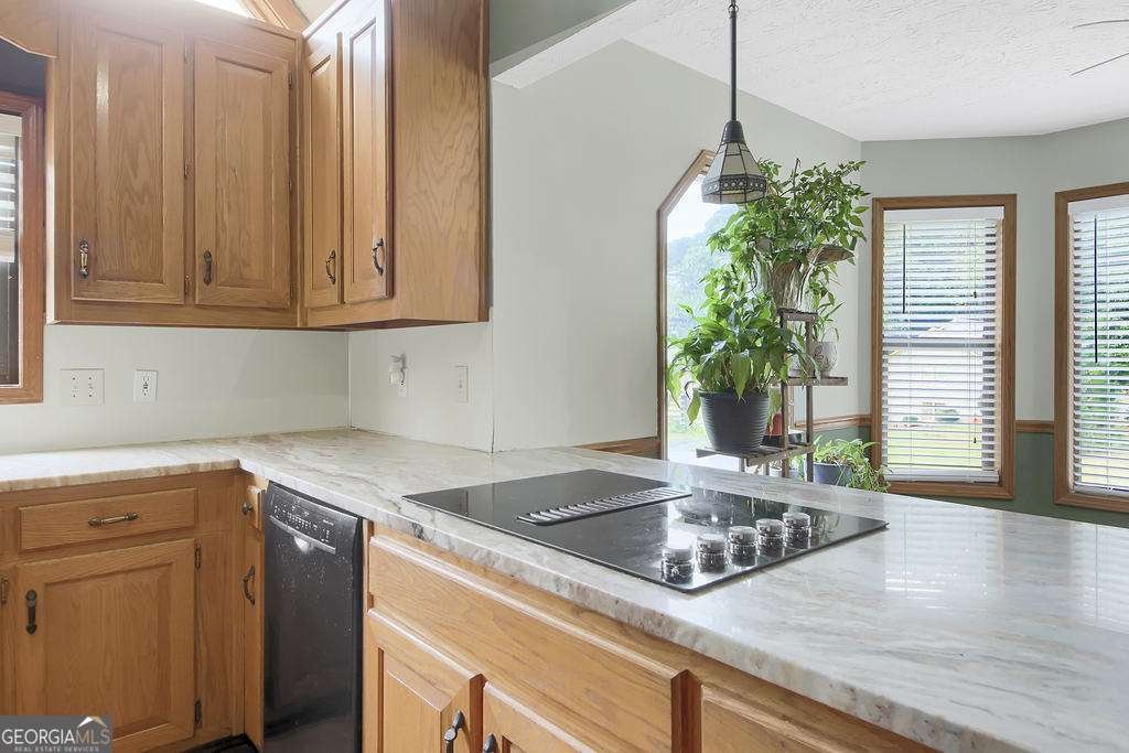 2067 York River Way Suwanee - 11