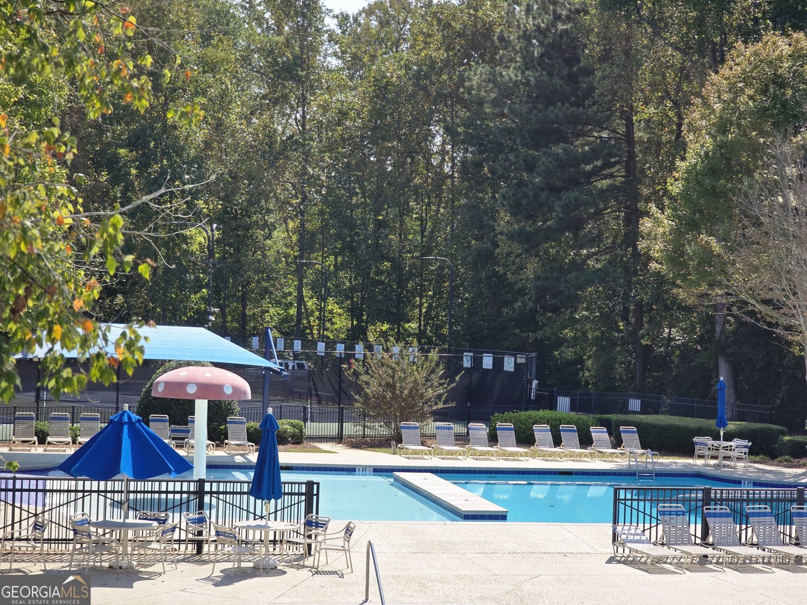 2067 York River Way Suwanee - 4
