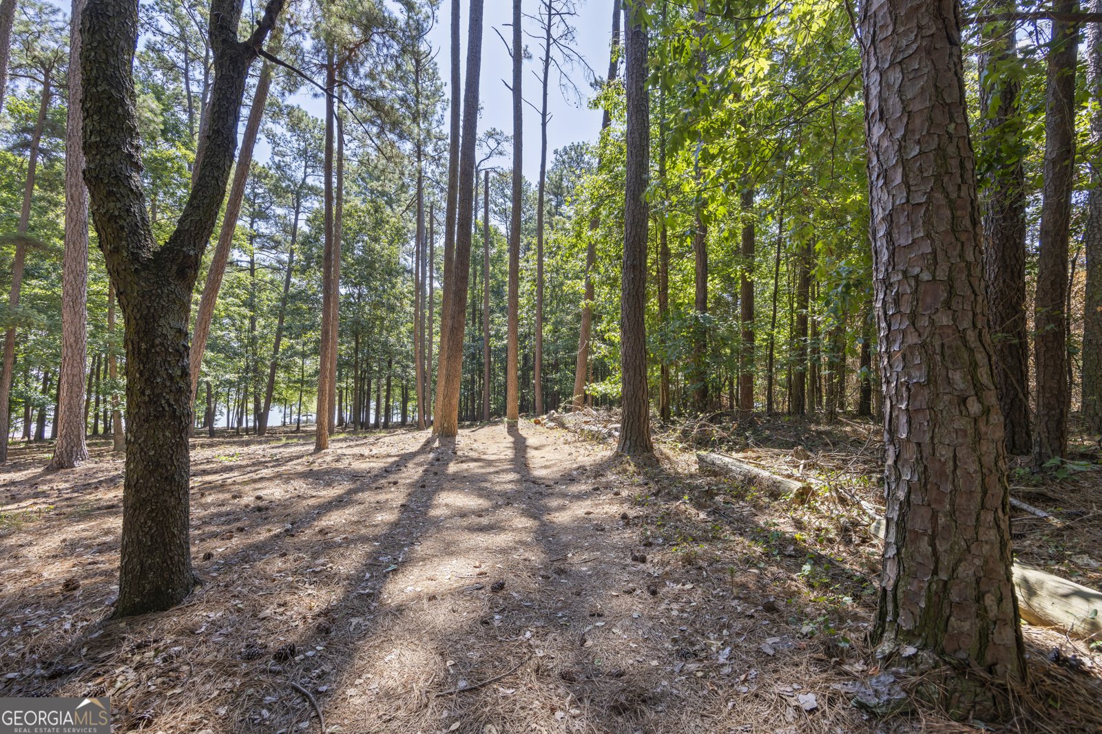 63 Lake Point Lane Hartwell - 19