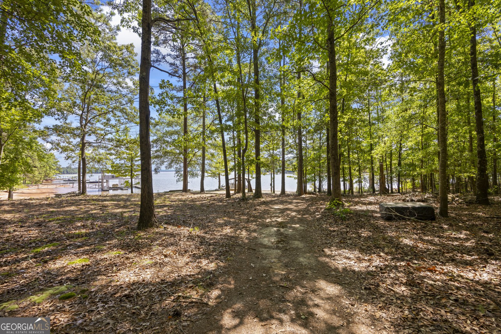 63 Lake Point Lane Hartwell - 23