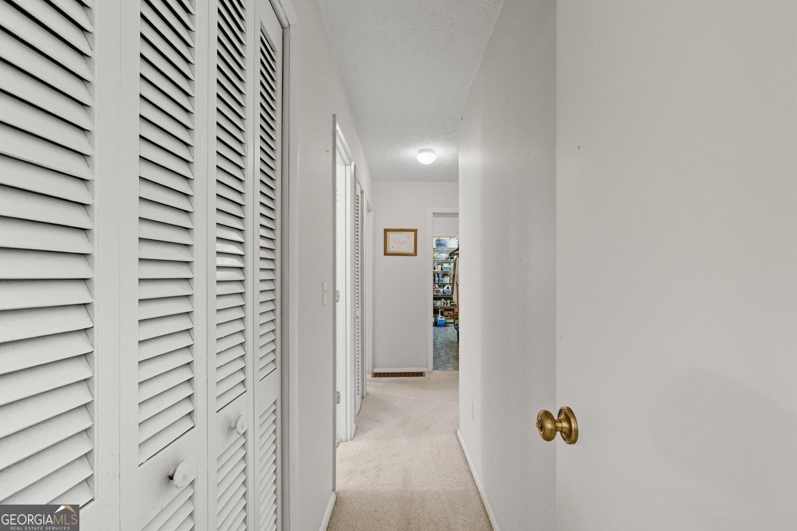 101 Dove Lane Clarkesville - 20