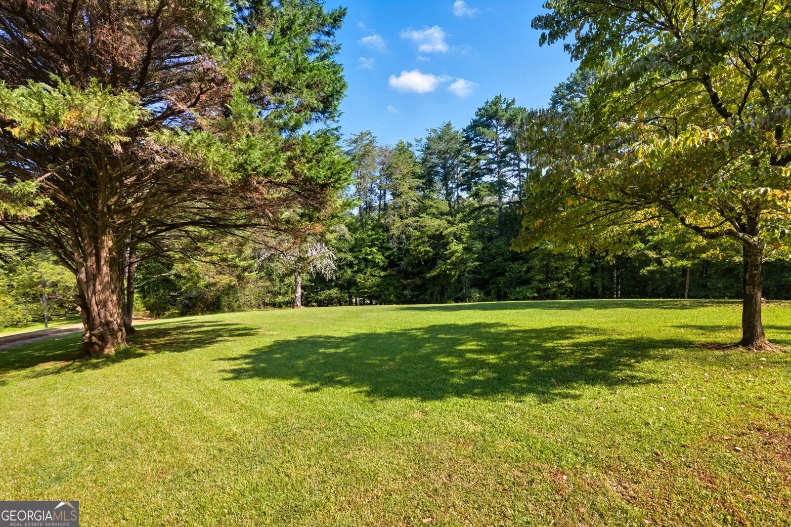 101 Dove Lane Clarkesville - 44