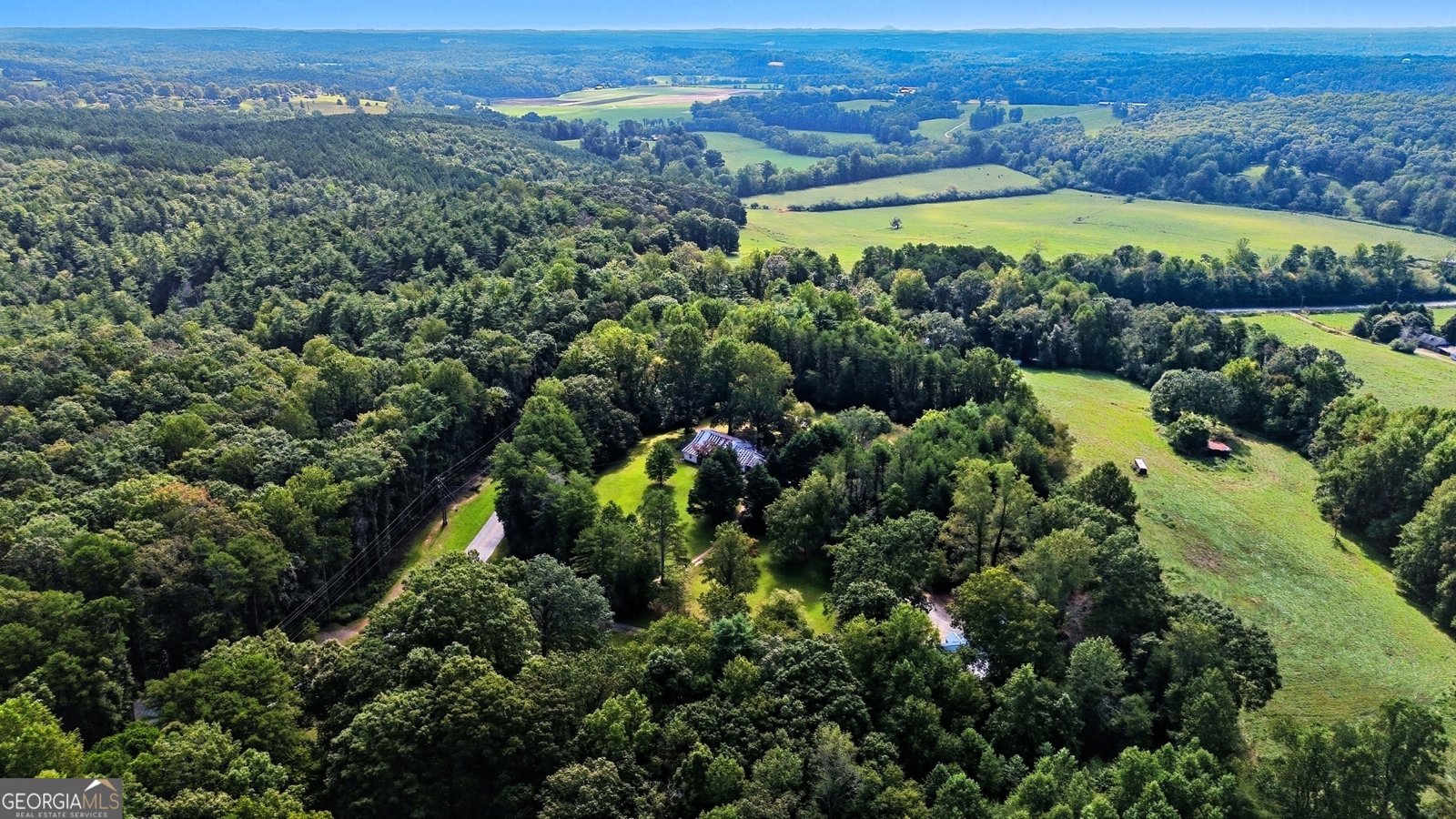 101 Dove Lane Clarkesville - 48