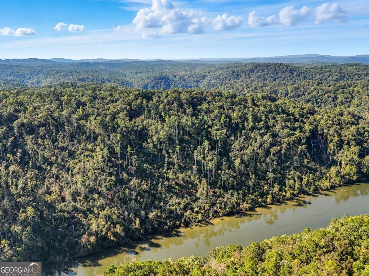 650 Myna Drive Ellijay - 31