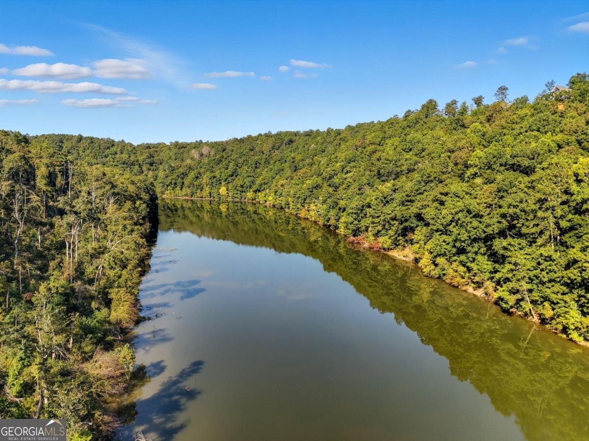 650 Myna Drive Ellijay - 33