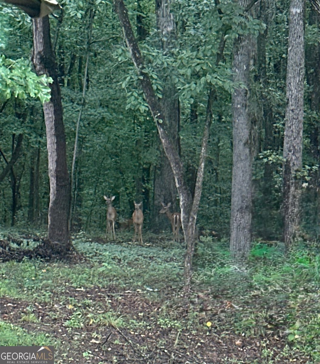 161 MEADOW LAKE Commerce - 35