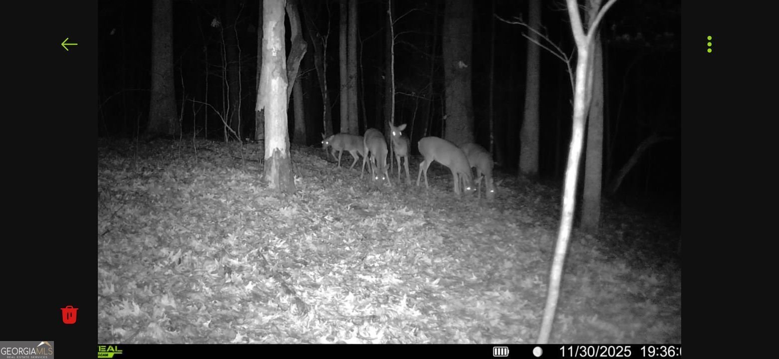 161 MEADOW LAKE Commerce - 36