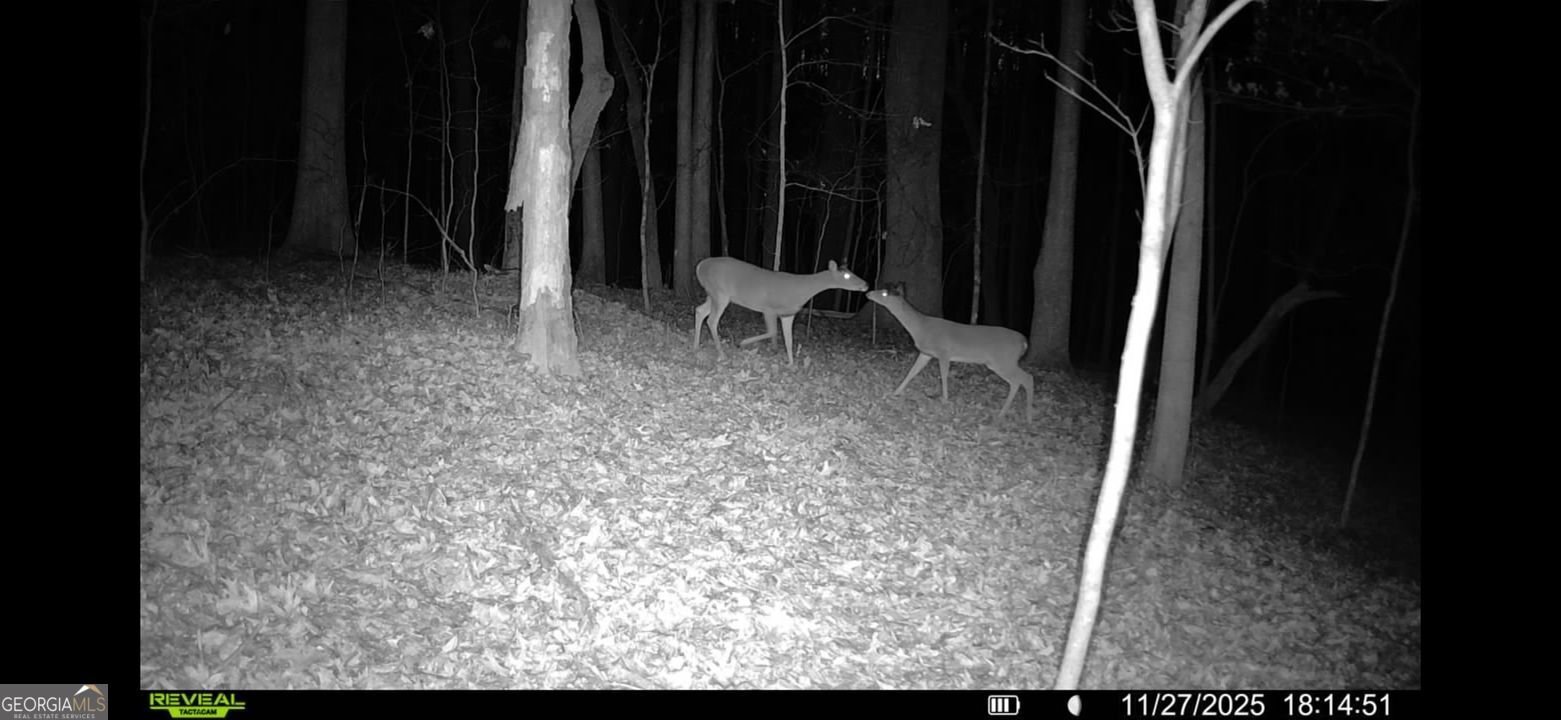 161 MEADOW LAKE Commerce - 37