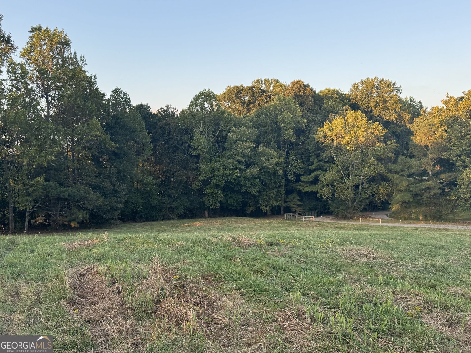 1045 Pleasant Hill Road Jasper - 36