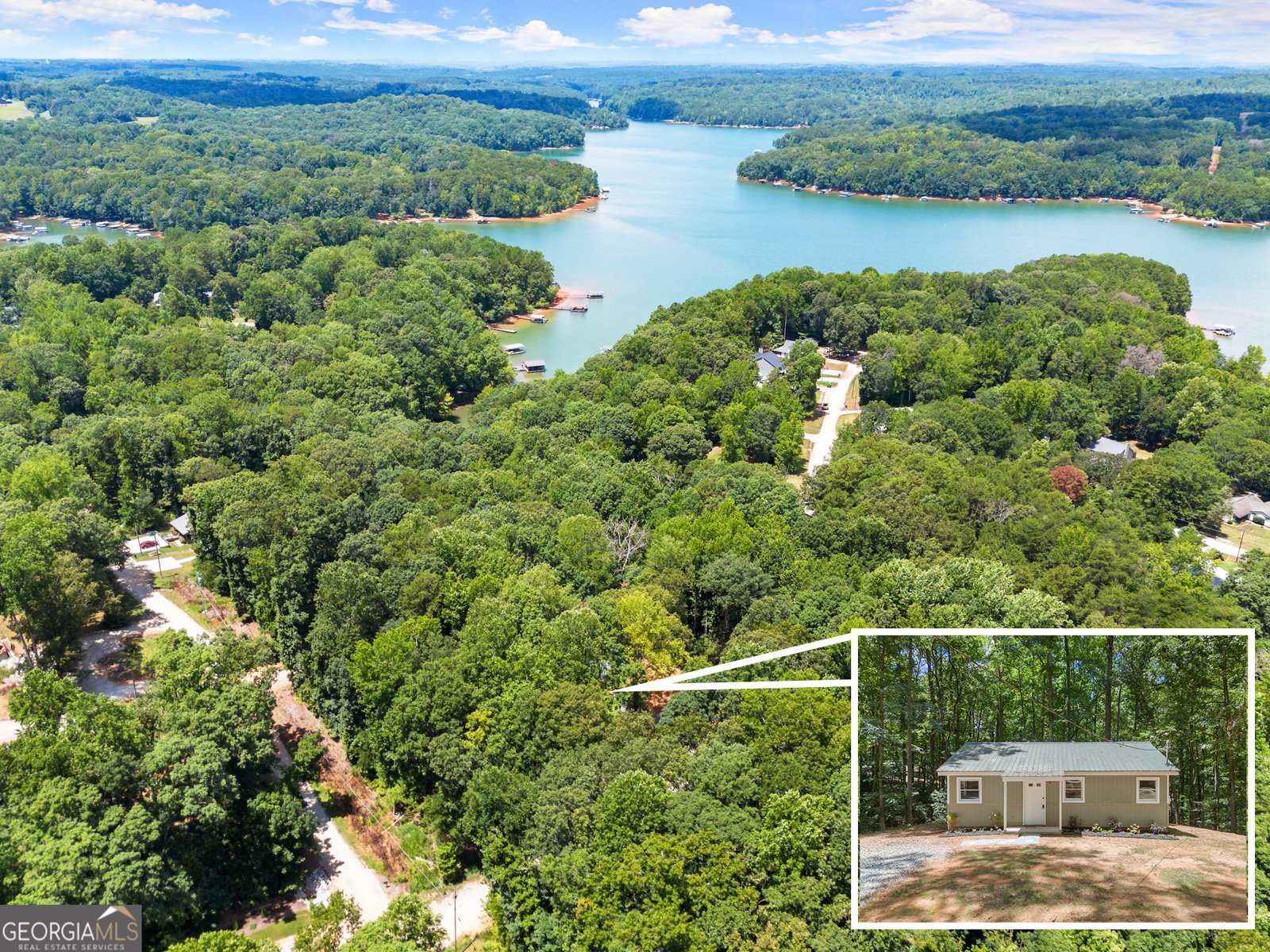45 Lake View Court Lavonia - 1