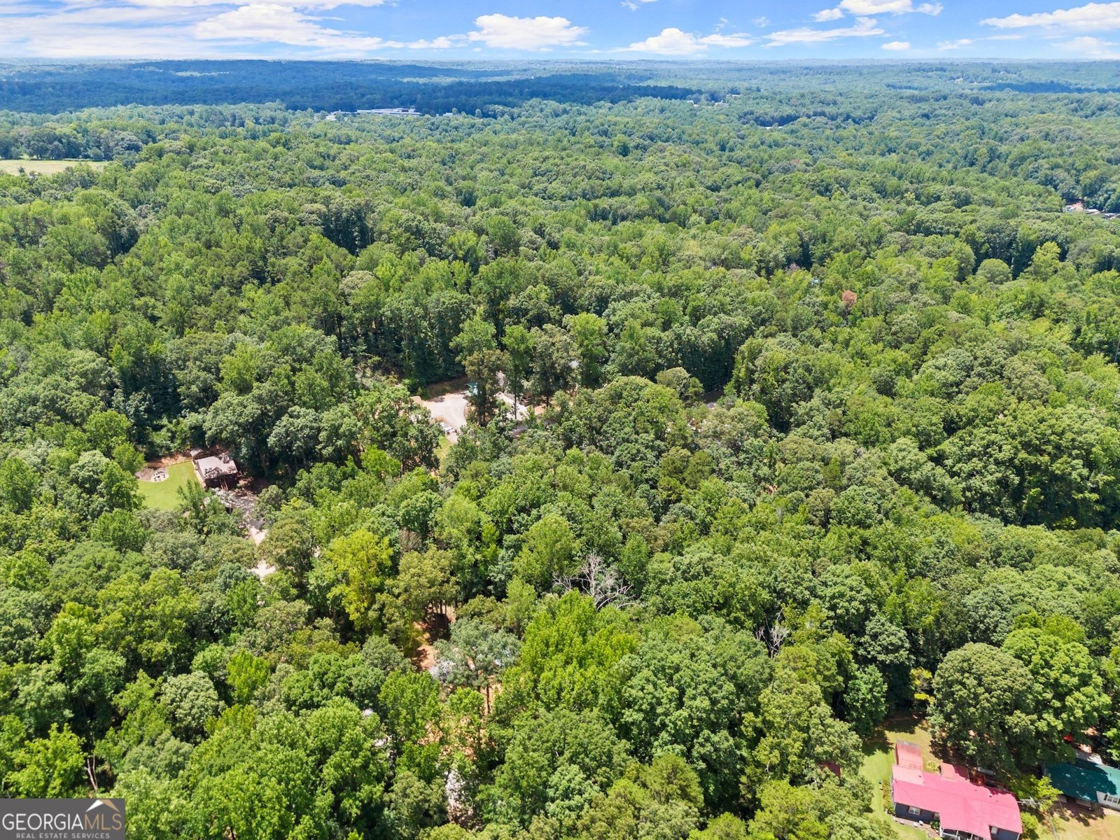45 Lake View Court Lavonia - 33