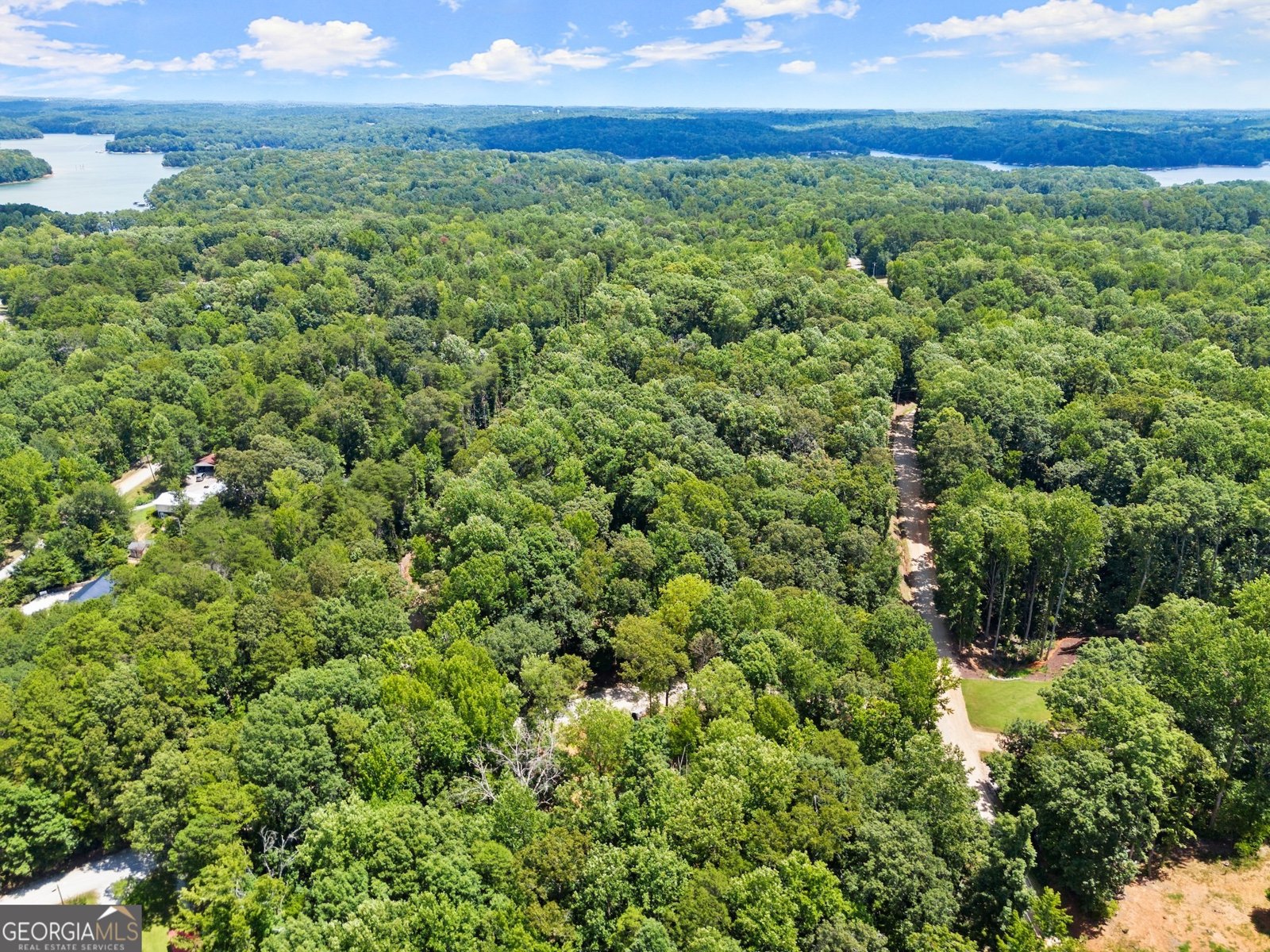45 Lake View Court Lavonia - 34
