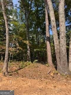 280 Eastwood Path Rockmart - 4