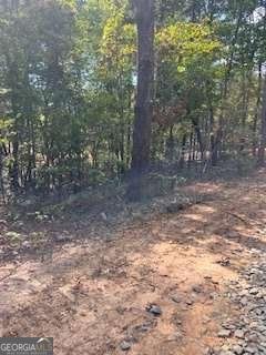 280 Eastwood Path Rockmart - 6