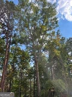 280 Eastwood Path Rockmart - 8