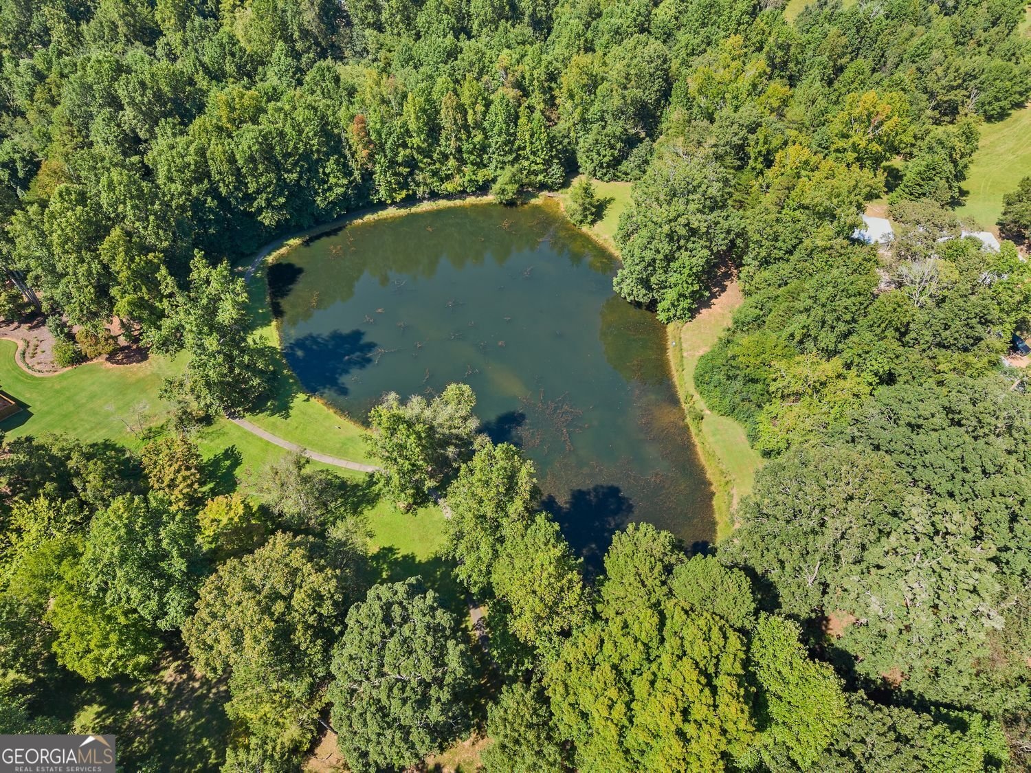 6655 Windvane Point Clermont - 16