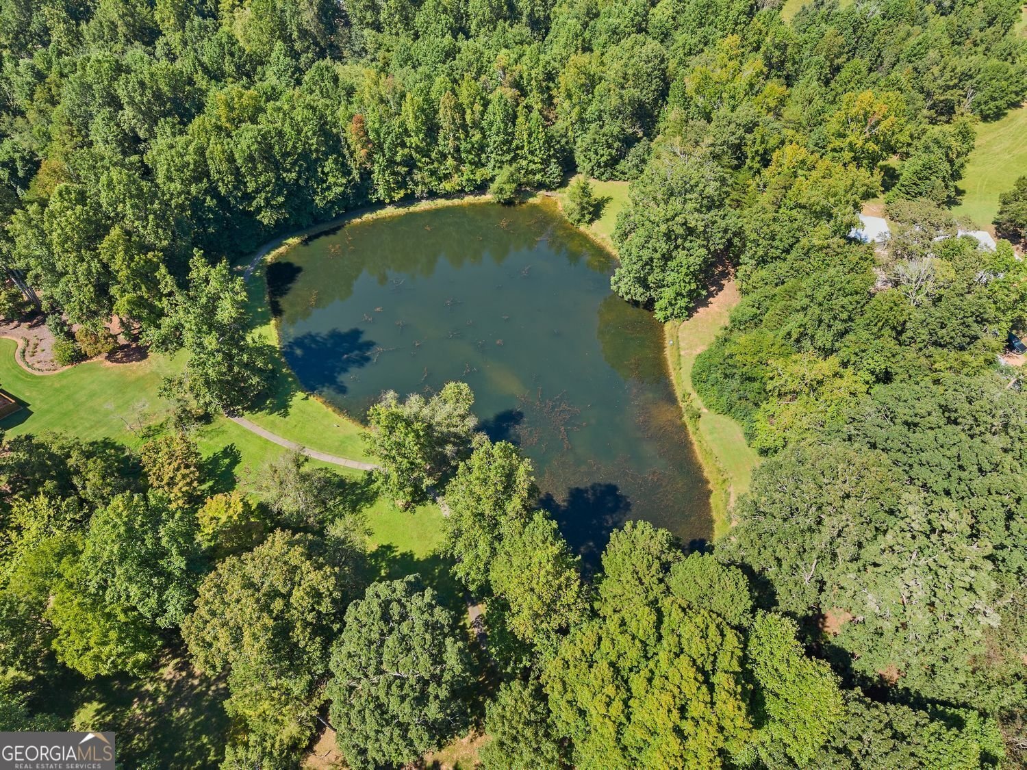 6655 Windvane Point Clermont - 67