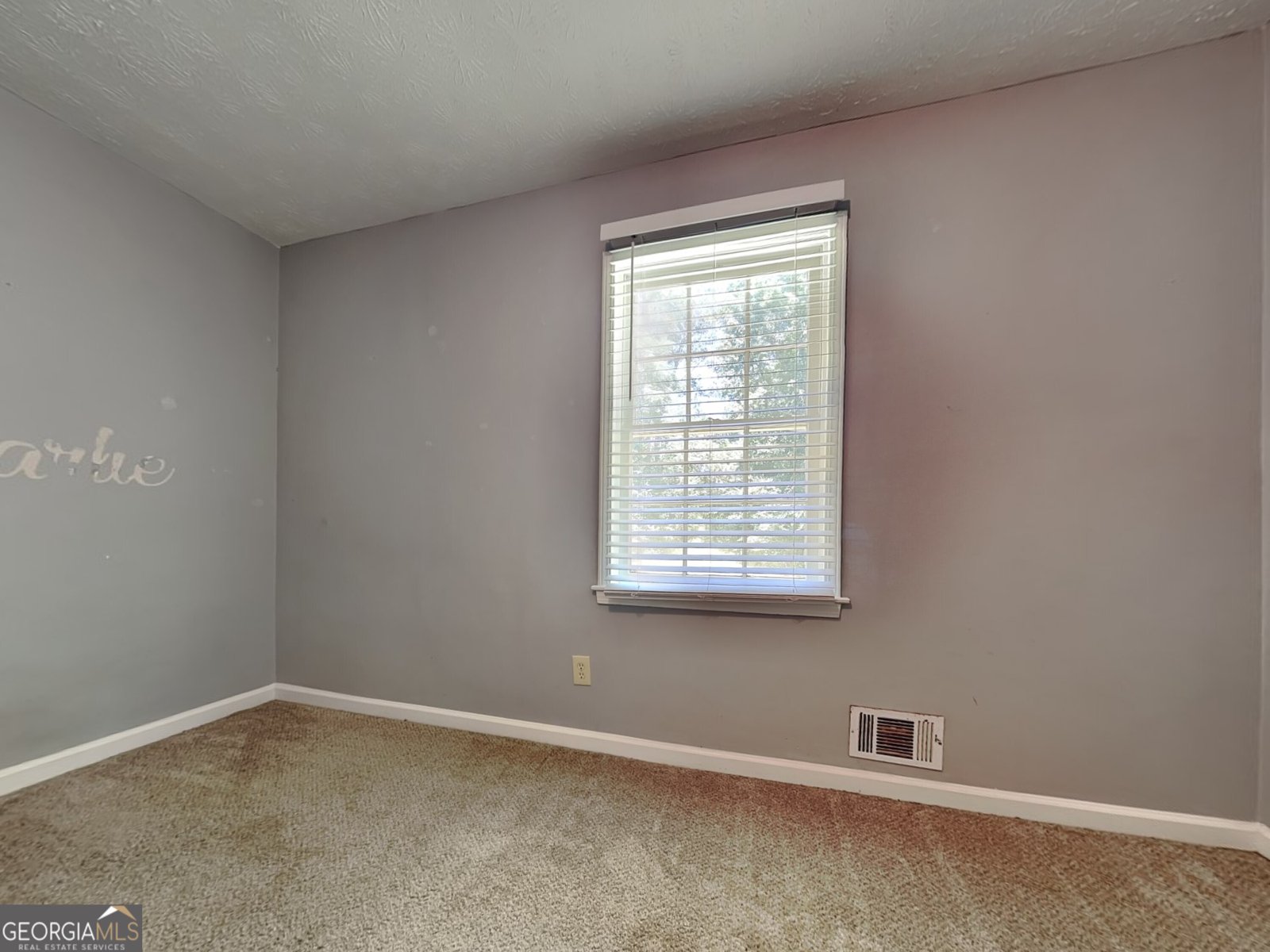 119 Camp Creek Drive Stockbridge - 10