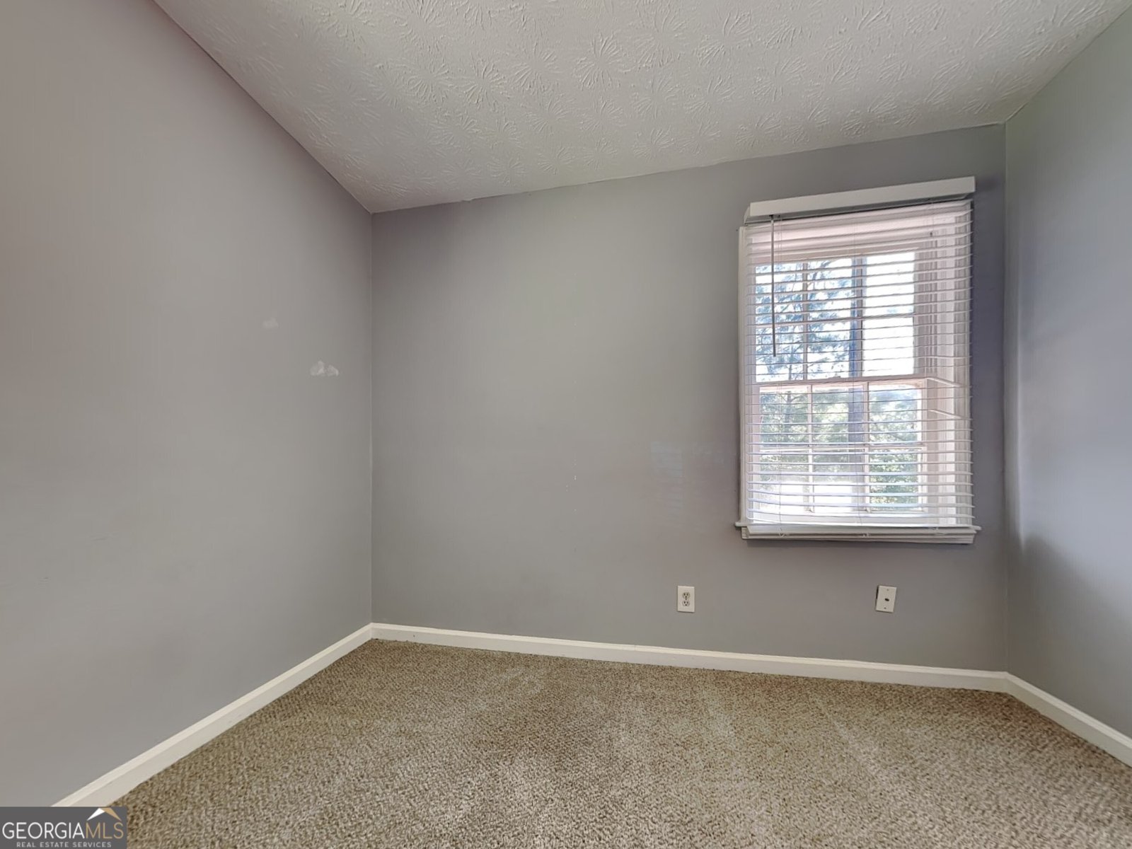 119 Camp Creek Drive Stockbridge - 11