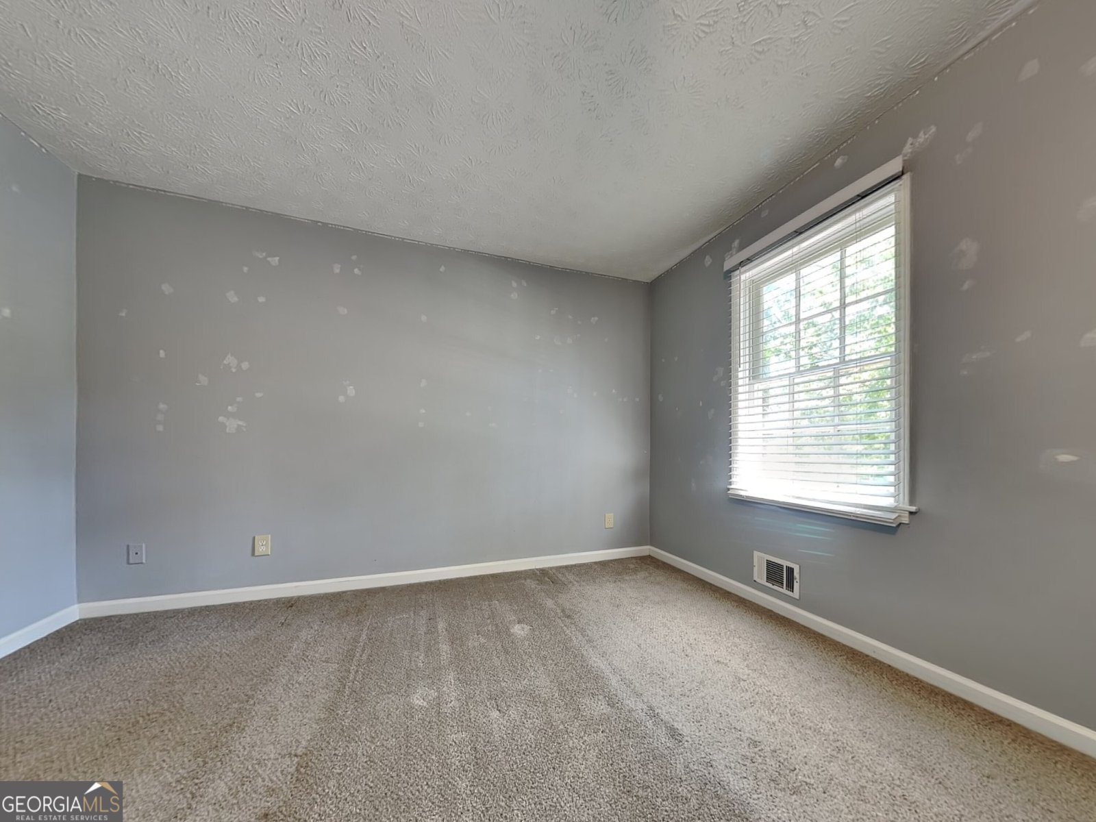 119 Camp Creek Drive Stockbridge - 6