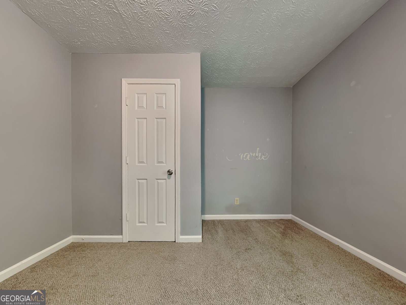 119 Camp Creek Drive Stockbridge - 9