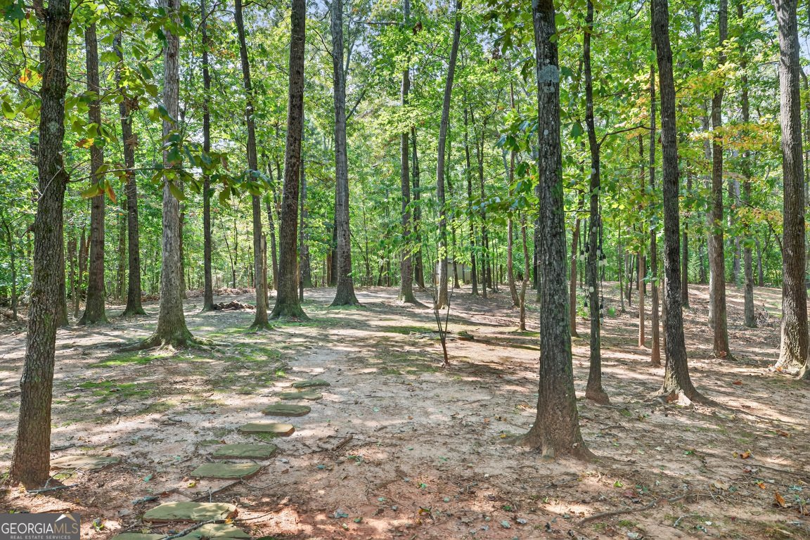5321 Shadow Walk Way Gainesville - 12