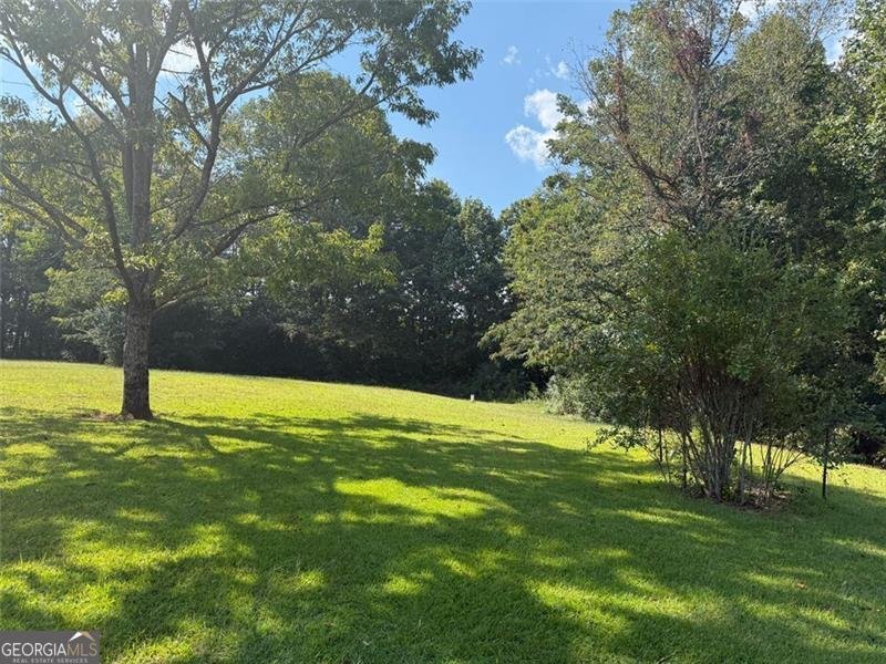 151 Norris Road Dahlonega - 10