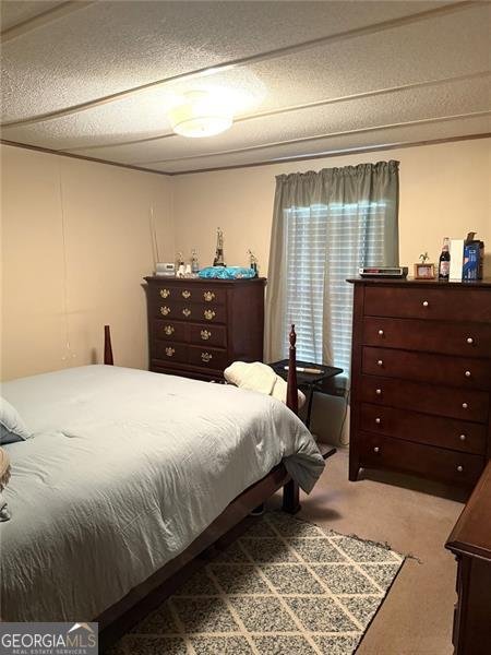 151 Norris Road Dahlonega - 21