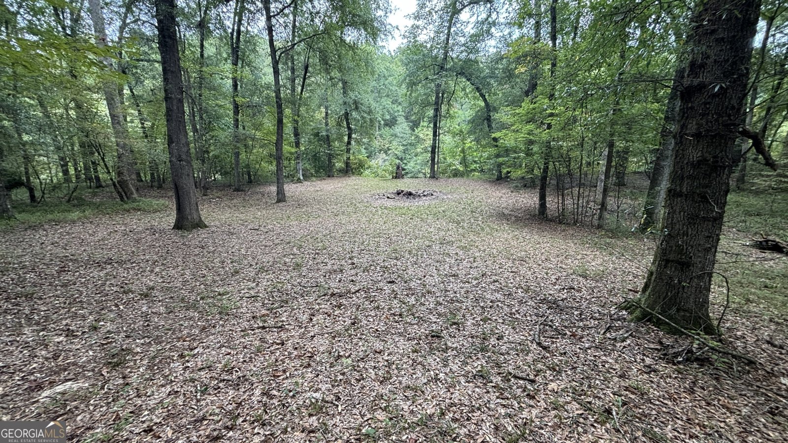 2489 Boxankle Road Forsyth - 14