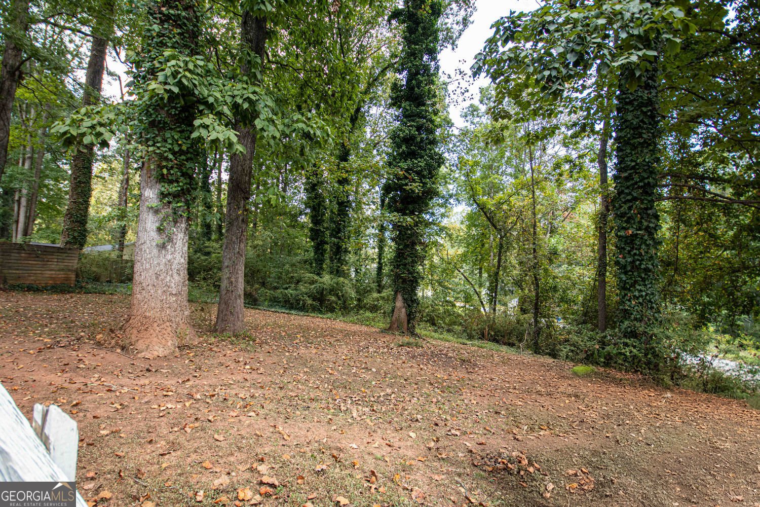 4031 Oak Stone Drive Douglasville - 4