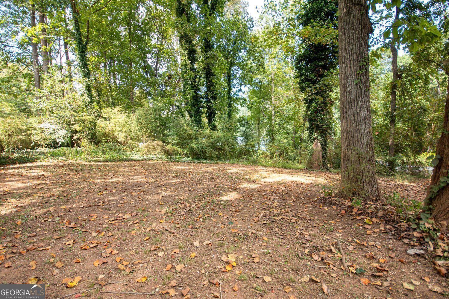 4031 Oak Stone Drive Douglasville - 7