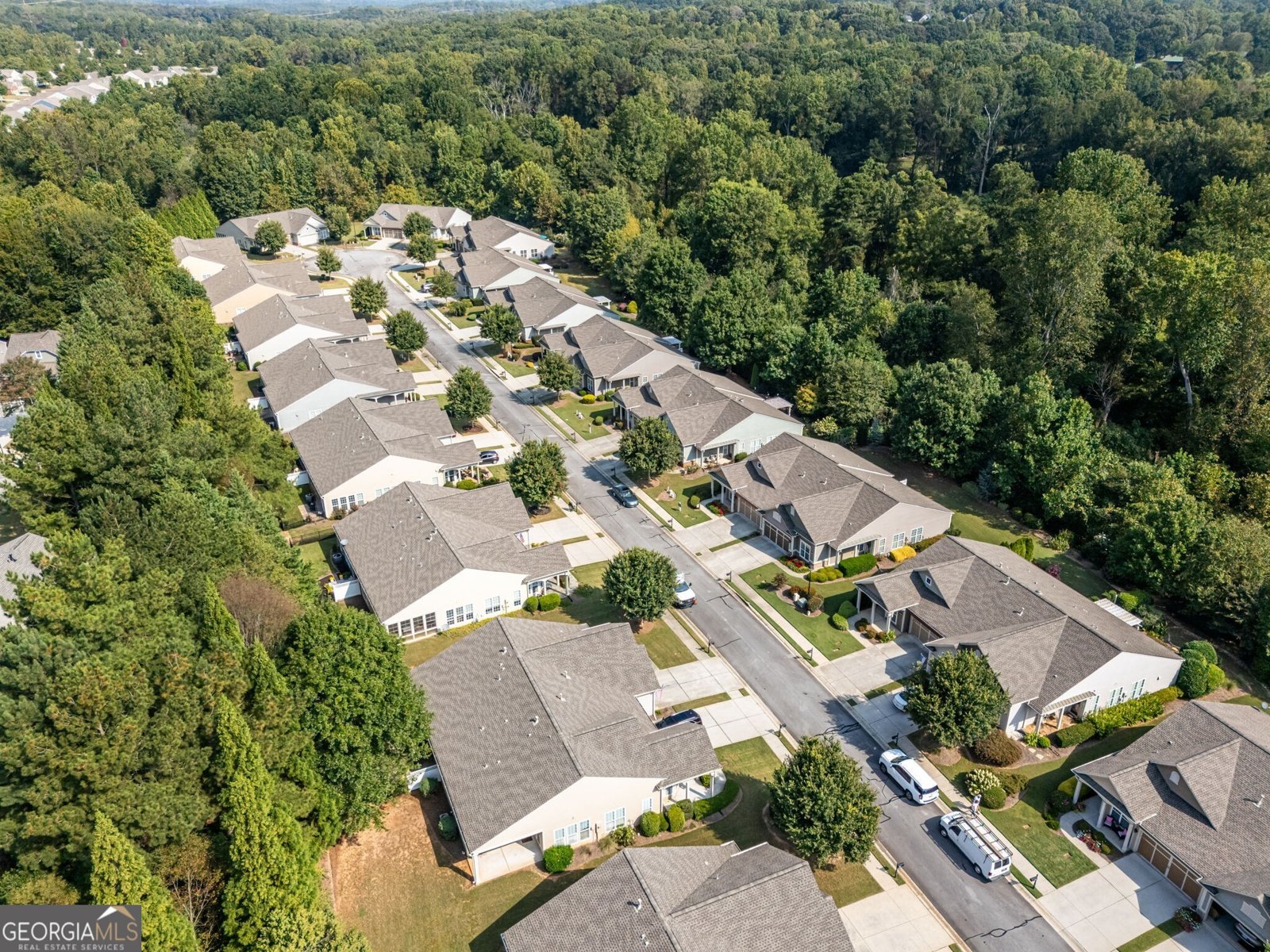 6208 Longleaf Drive Hoschton - 42