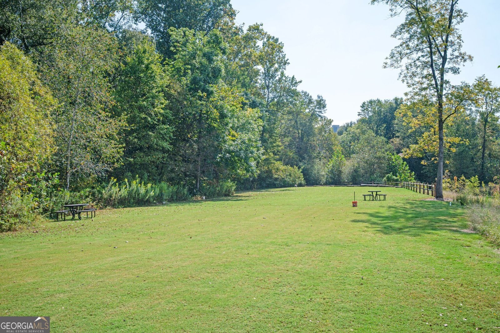 6208 Longleaf Drive Hoschton - 46