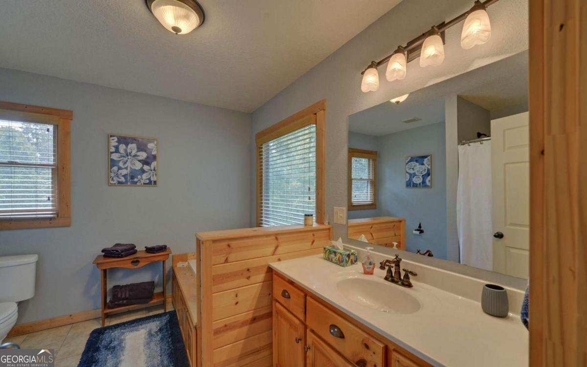 2509 Brookhaven Drive Young Harris - 17