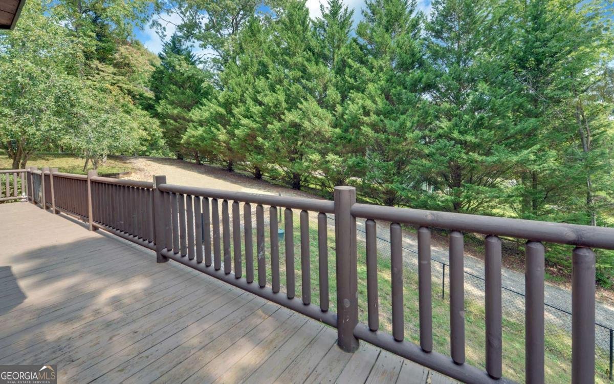 2509 Brookhaven Drive Young Harris - 22