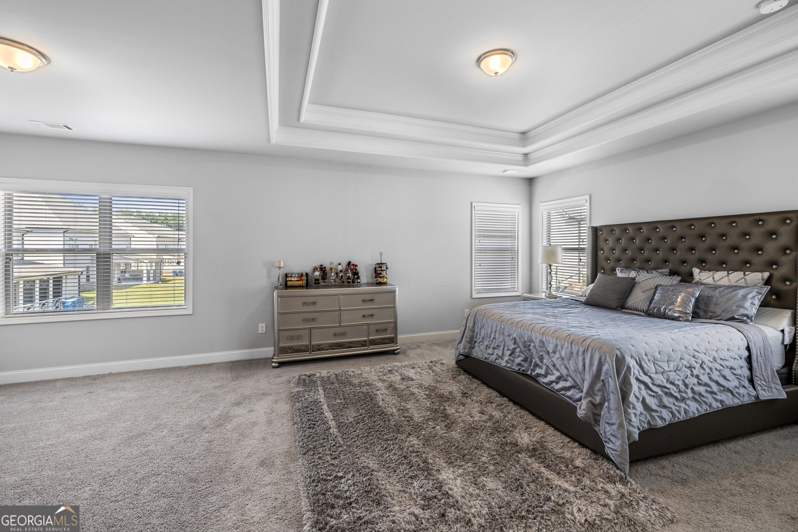 3717 Blue Goose Lane Loganville - 4