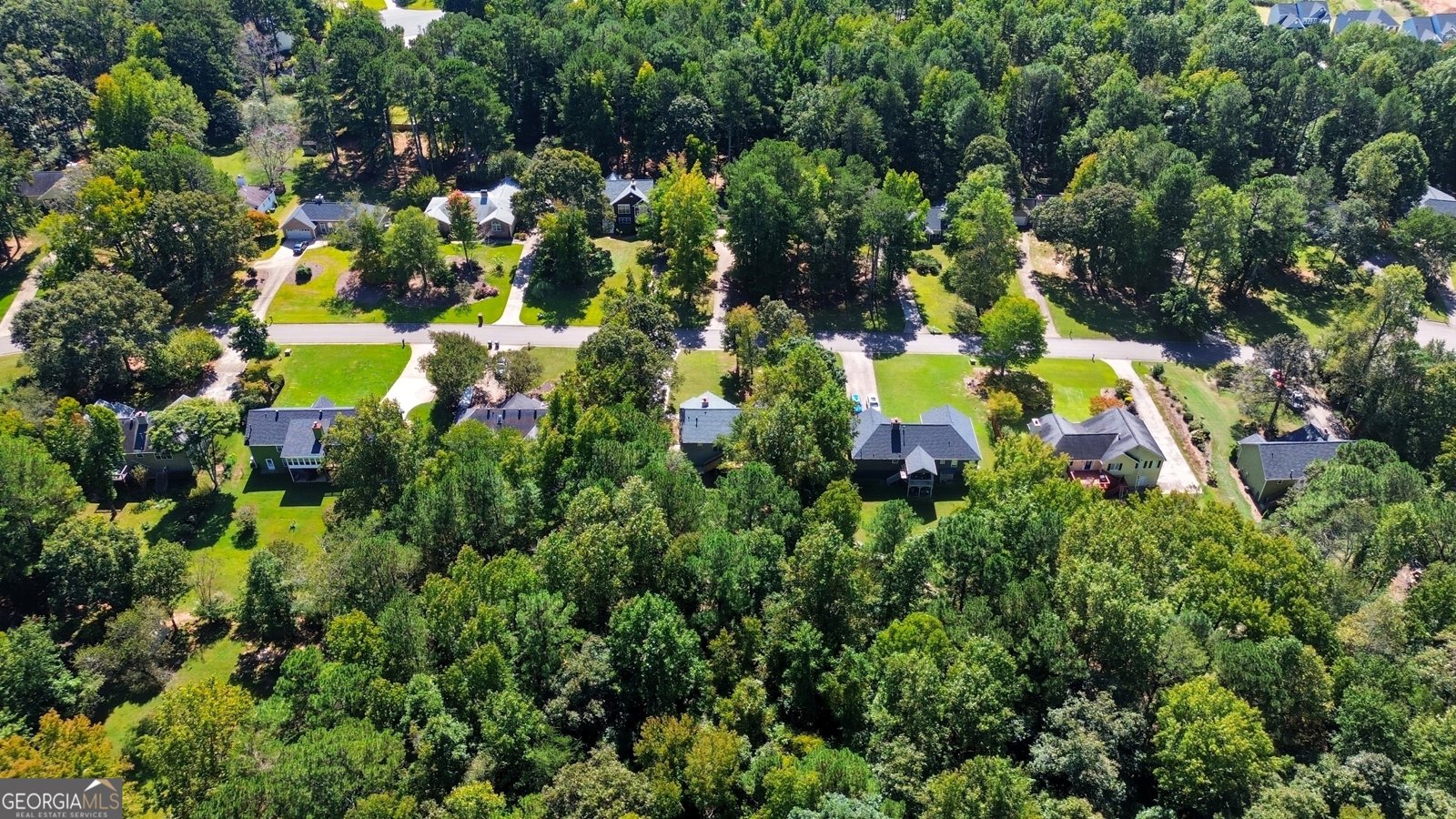 2350 Holly Branch Drive Cumming - 38