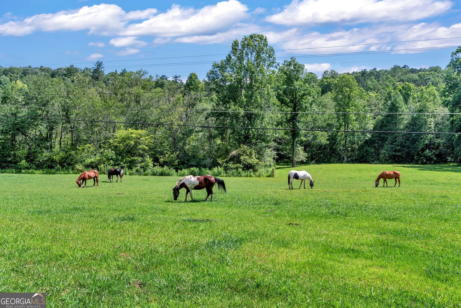 66 Indian Trail Sautee Nacoochee - 53