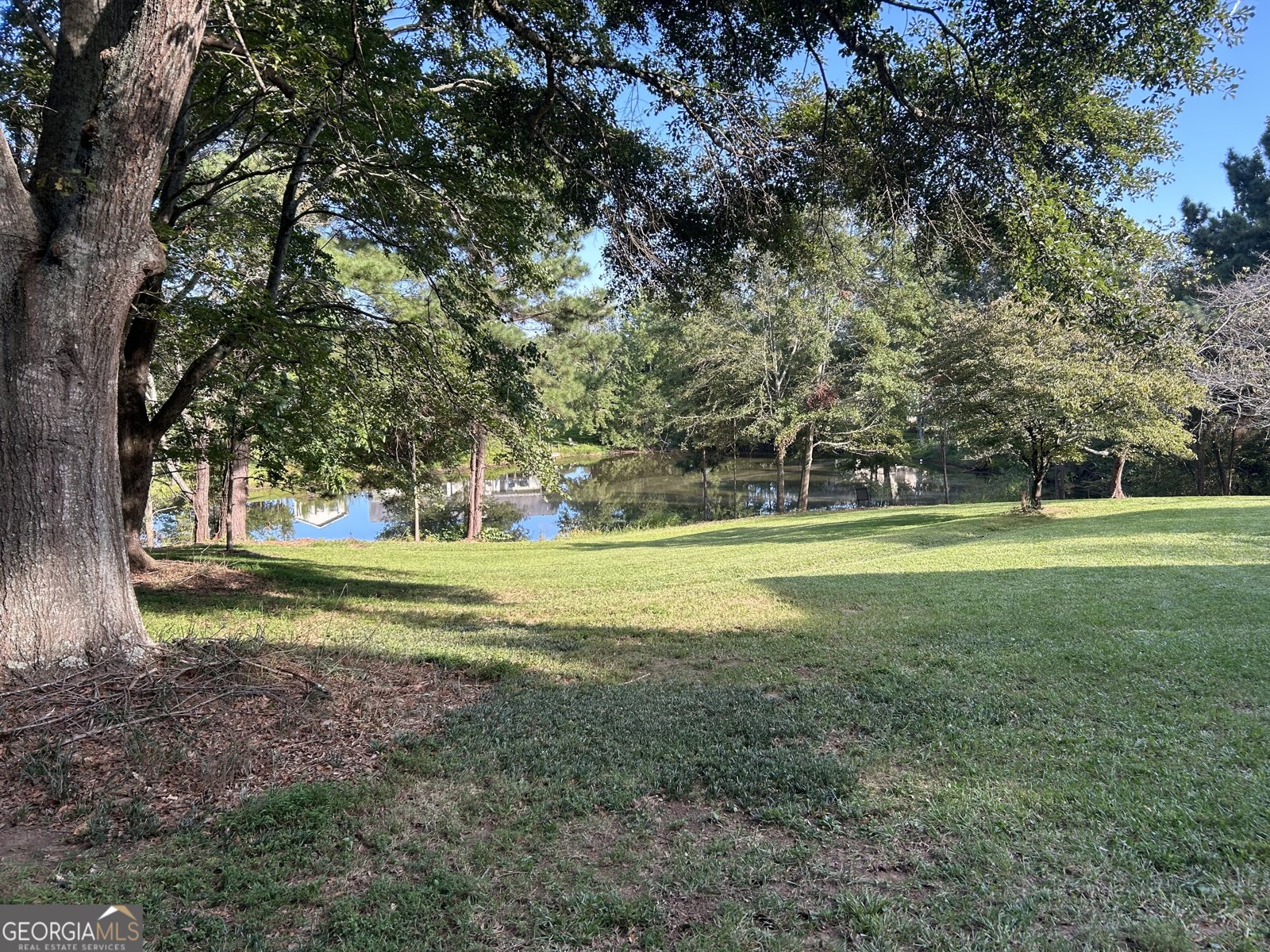 354 Chandler Pond Court Alto - 13