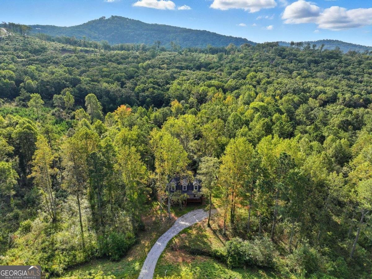 235 Oak Park Drive Talking Rock - 16