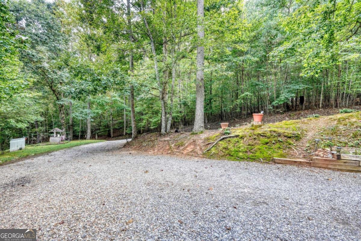 8296 True Love Mountain Road Young Harris - 1