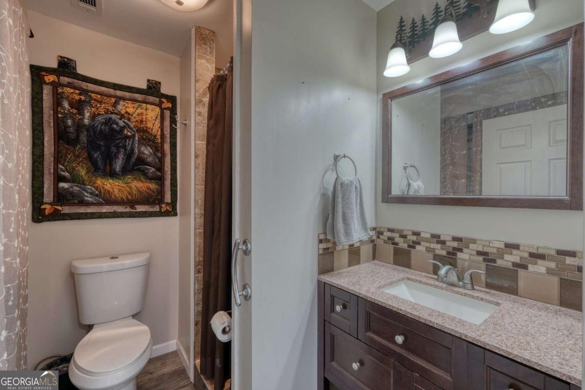 8296 True Love Mountain Road Young Harris - 19