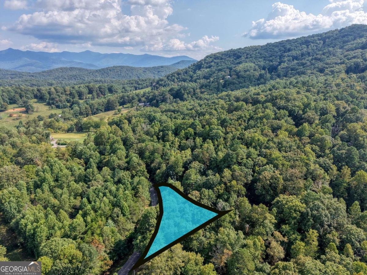 8296 True Love Mountain Road Young Harris - 56