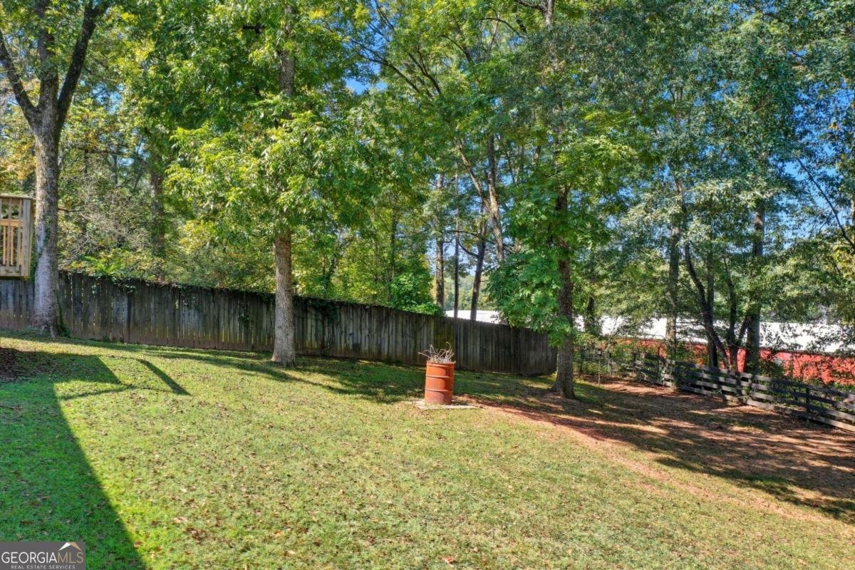 255 Lowry Street Ball Ground - 19