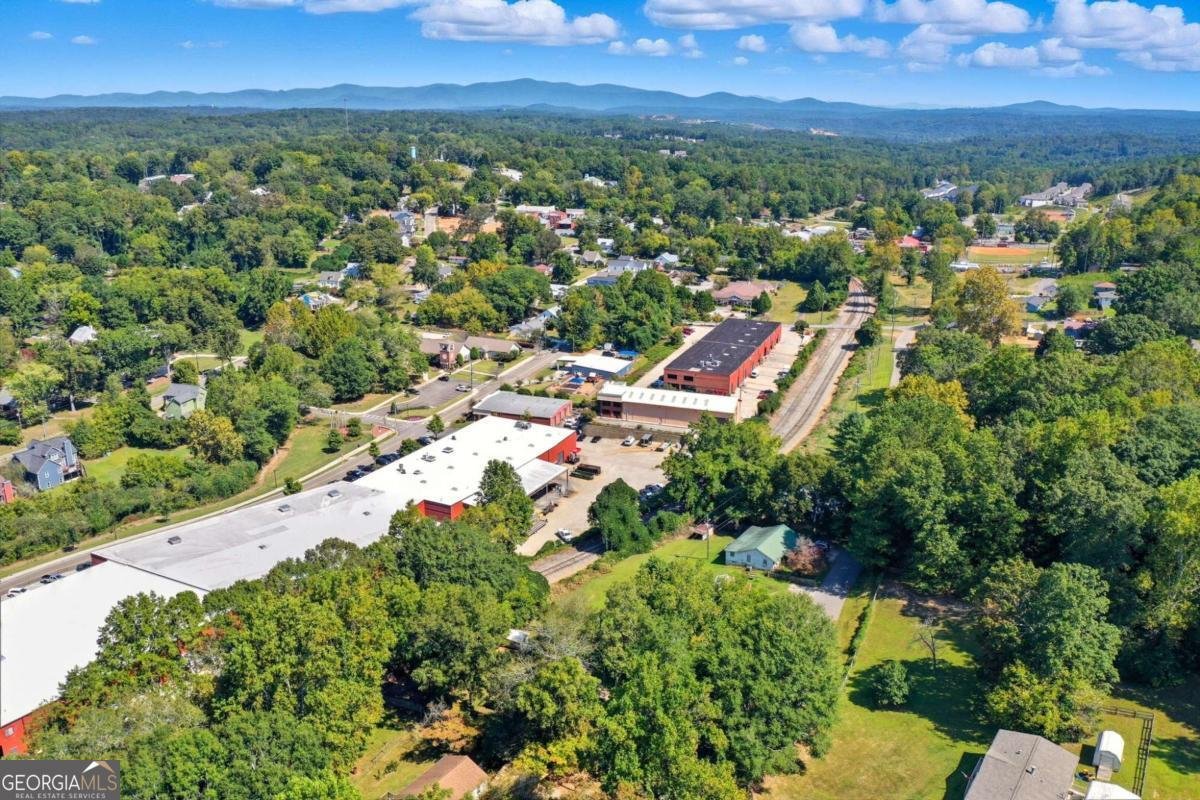 255 Lowry Street Ball Ground - 21