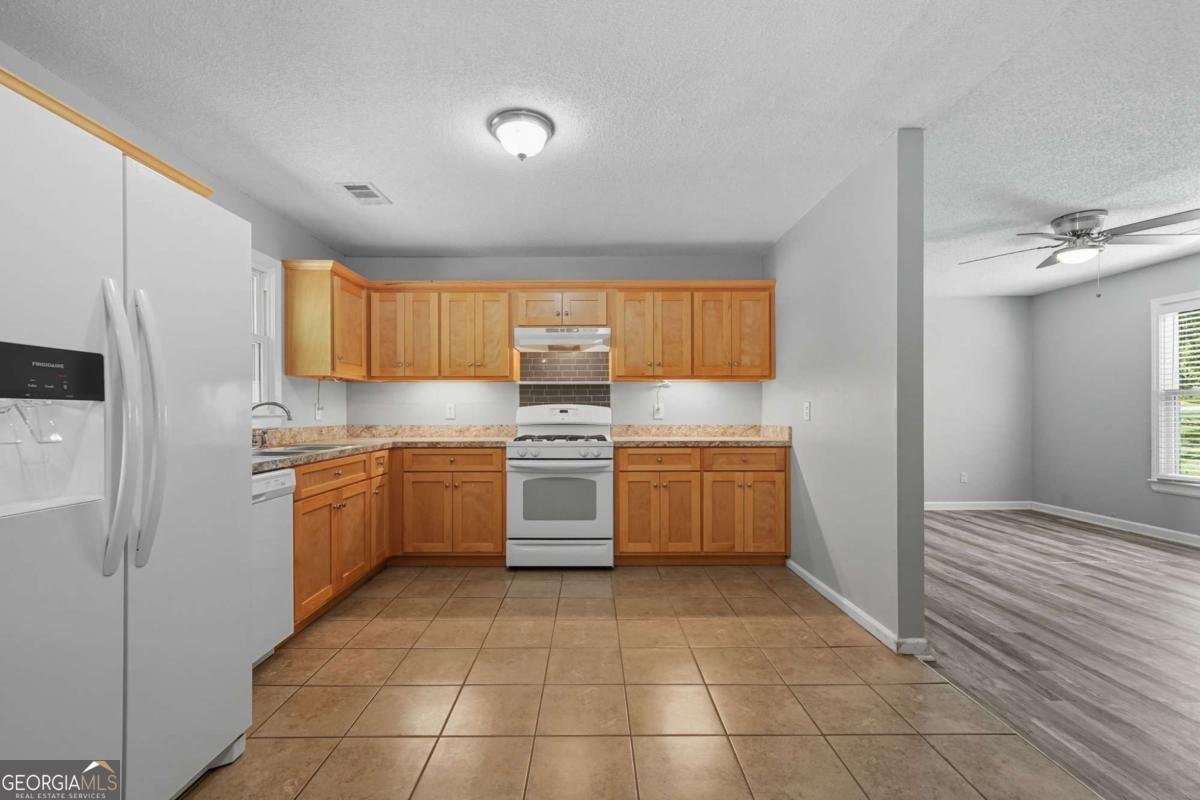 255 Lowry Street Ball Ground - 4