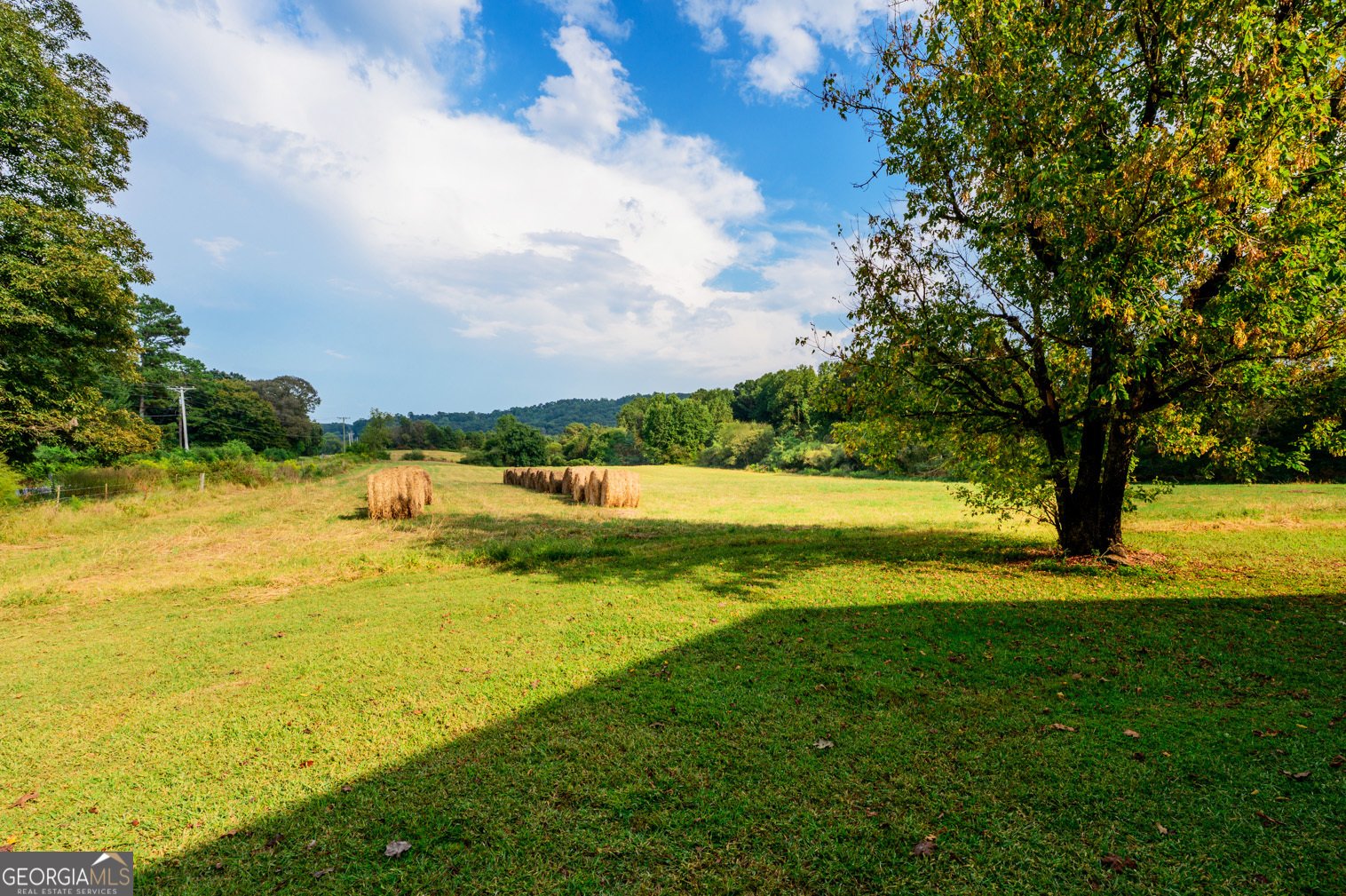 3523 Broomtown Road Lafayette - Photo 39